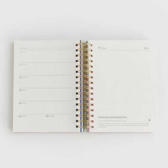 Agenda 2026 Grande Flores - Lounge