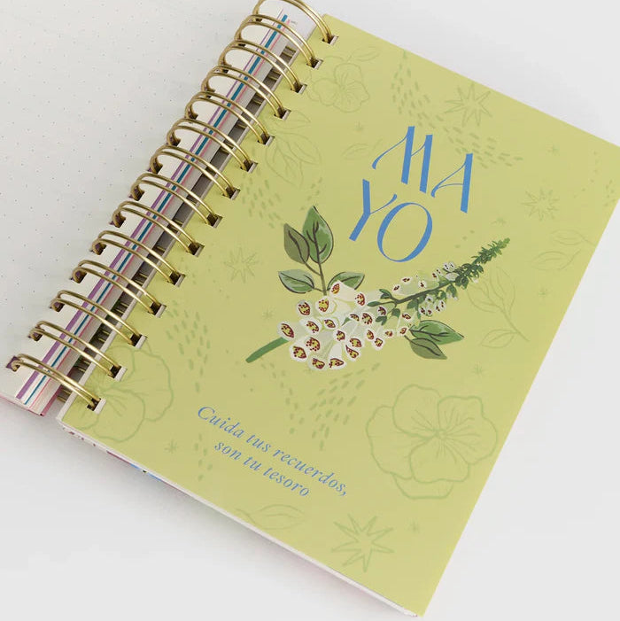 Agenda 2026 Mediana Psicodelia - Lounge