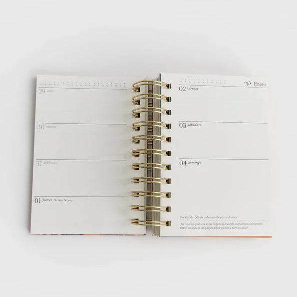 Agenda 2026 Pequeña Jaguar - Lounge