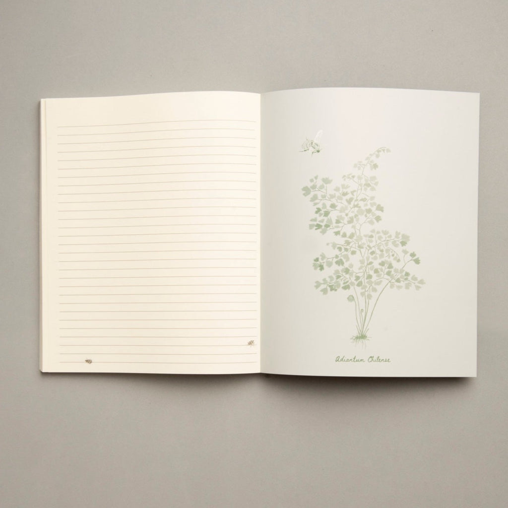 Cuaderno Bosque