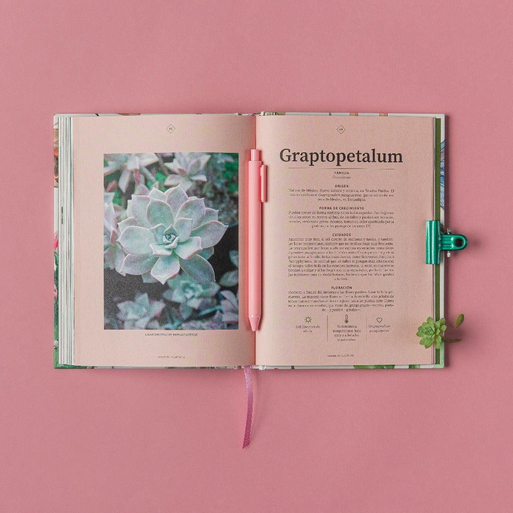 Libro Alfabeto plantista - Un abecé imperfecto para cuidar suculentas perfectas