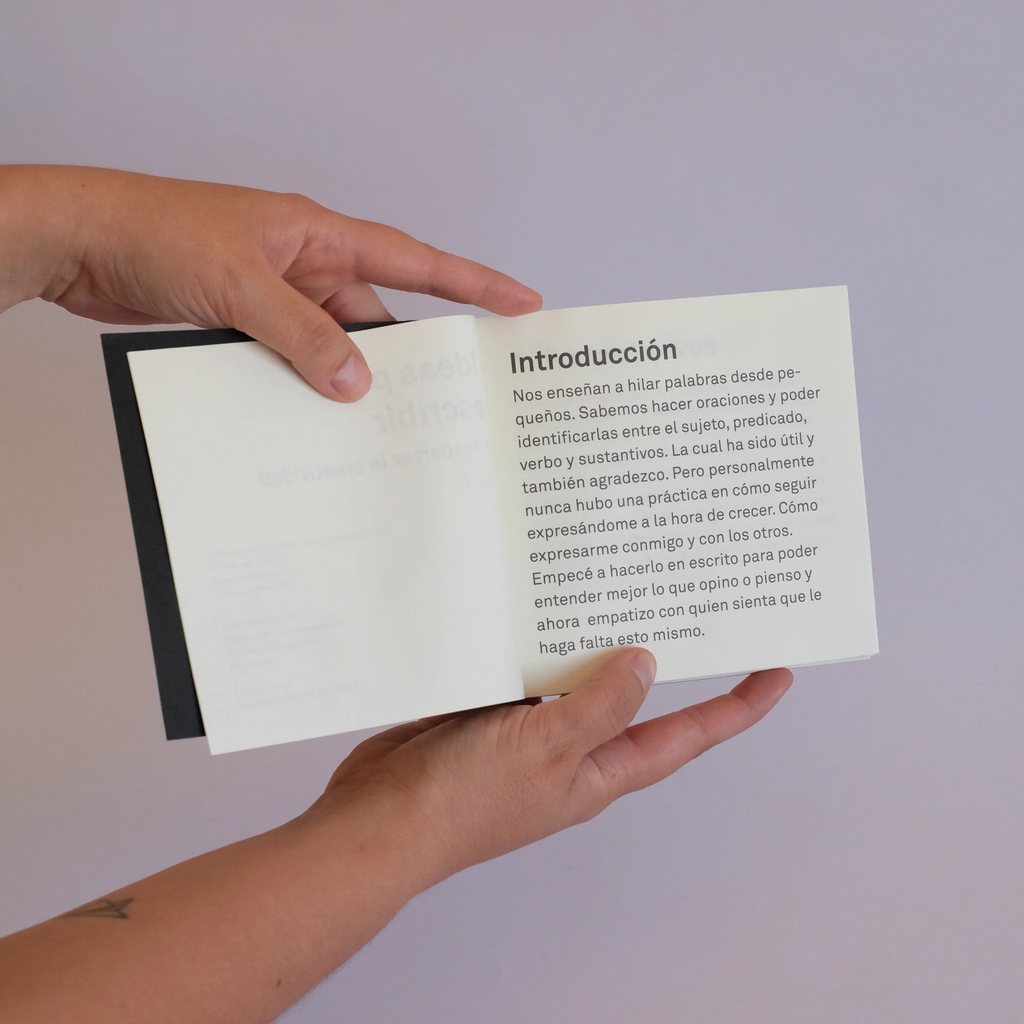 Ideas para escribir vol. 2