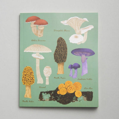 Cuaderno Fungi