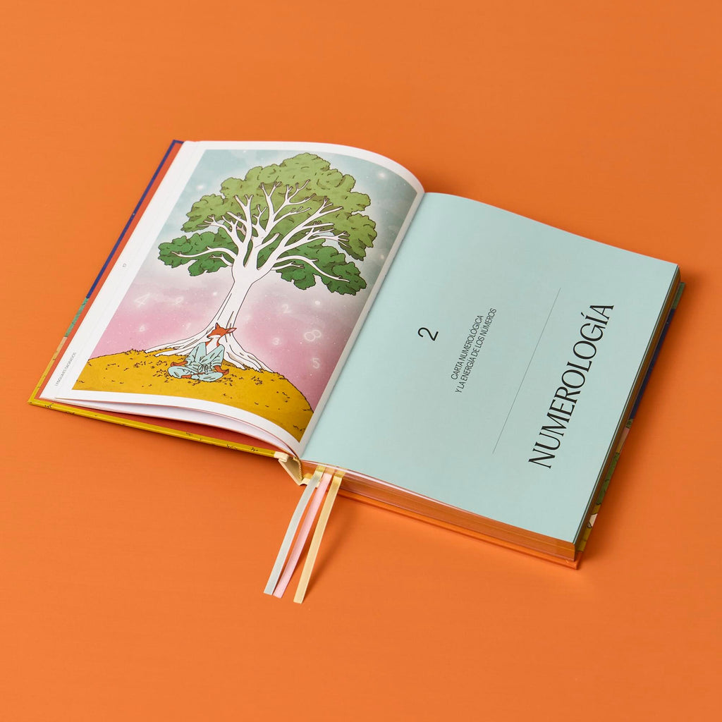 PREVENTA Libro Un Viaje a tu Universo