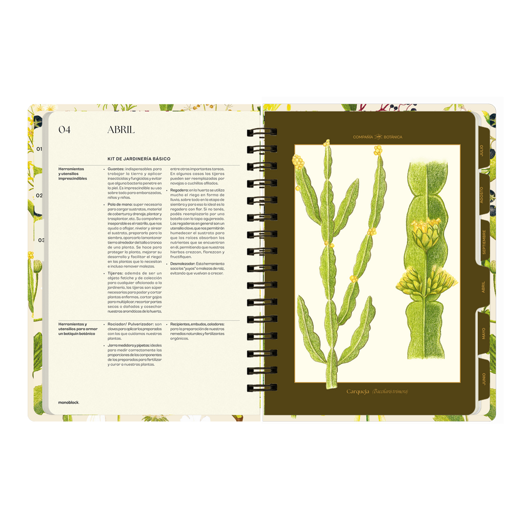 PREVENTA - Agenda semanal 2026 Monoblock - Compañía Botánica