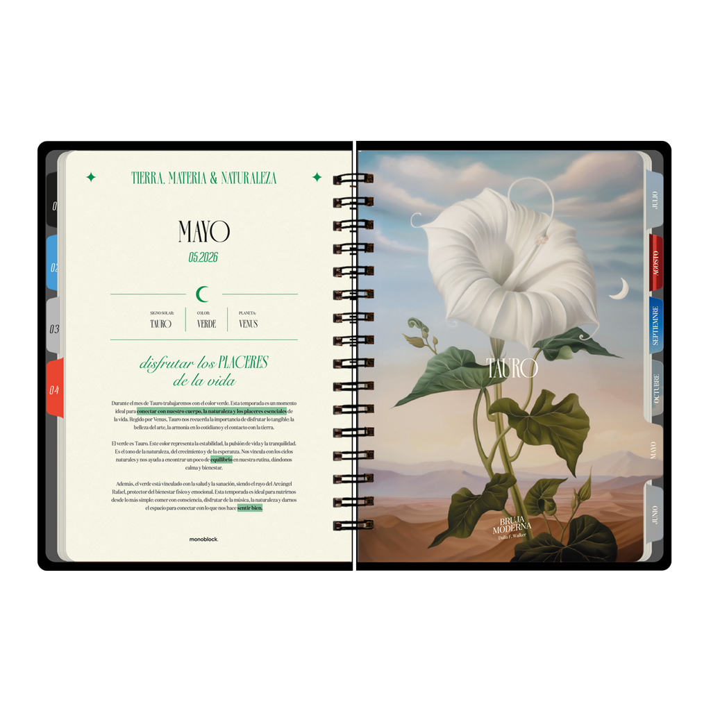 PREVENTA - Agenda diaria 2026 Monoblock - Bruja Moderna