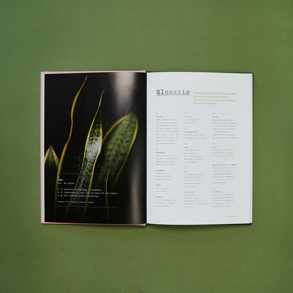 Libro Laboratorio Botánico: una guía para cuidar, experimentar y crecer con plantas de interior.